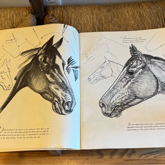 Walter T. Foster How to Draw vintage art book - Picture 4 of 11